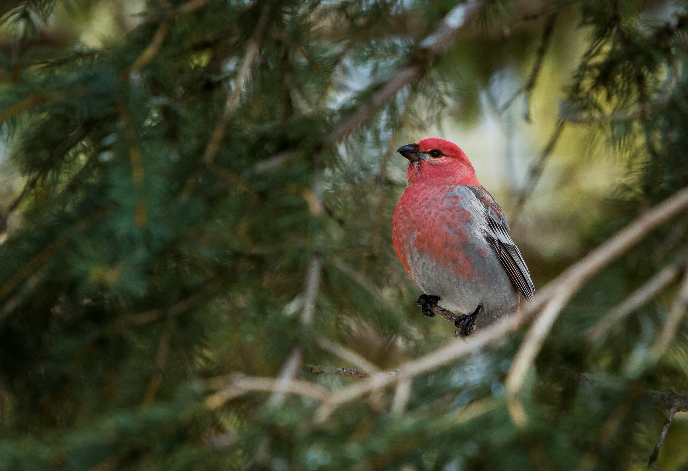 How We Can Work Together to Build a Vision to Address Climate Change